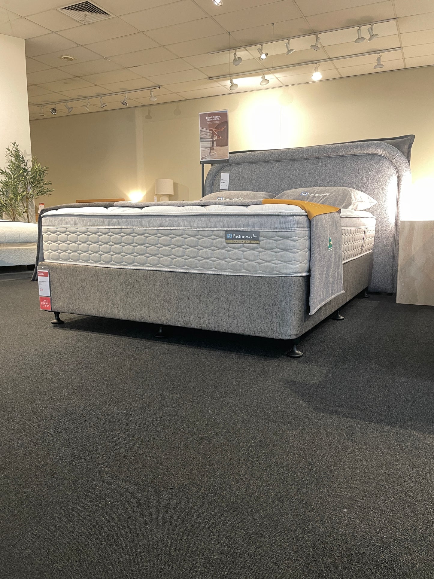 Freedom Ex-Display Sealy Posturepedic Queen Base