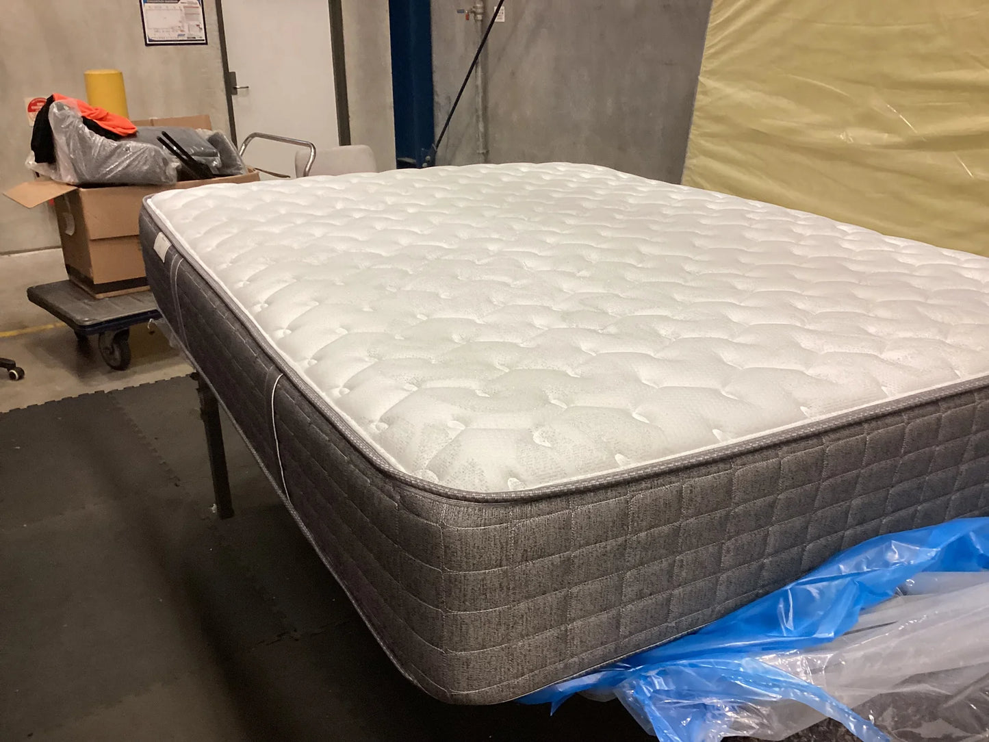Freedom PCR Sealy Halo Firm Mattress Queen