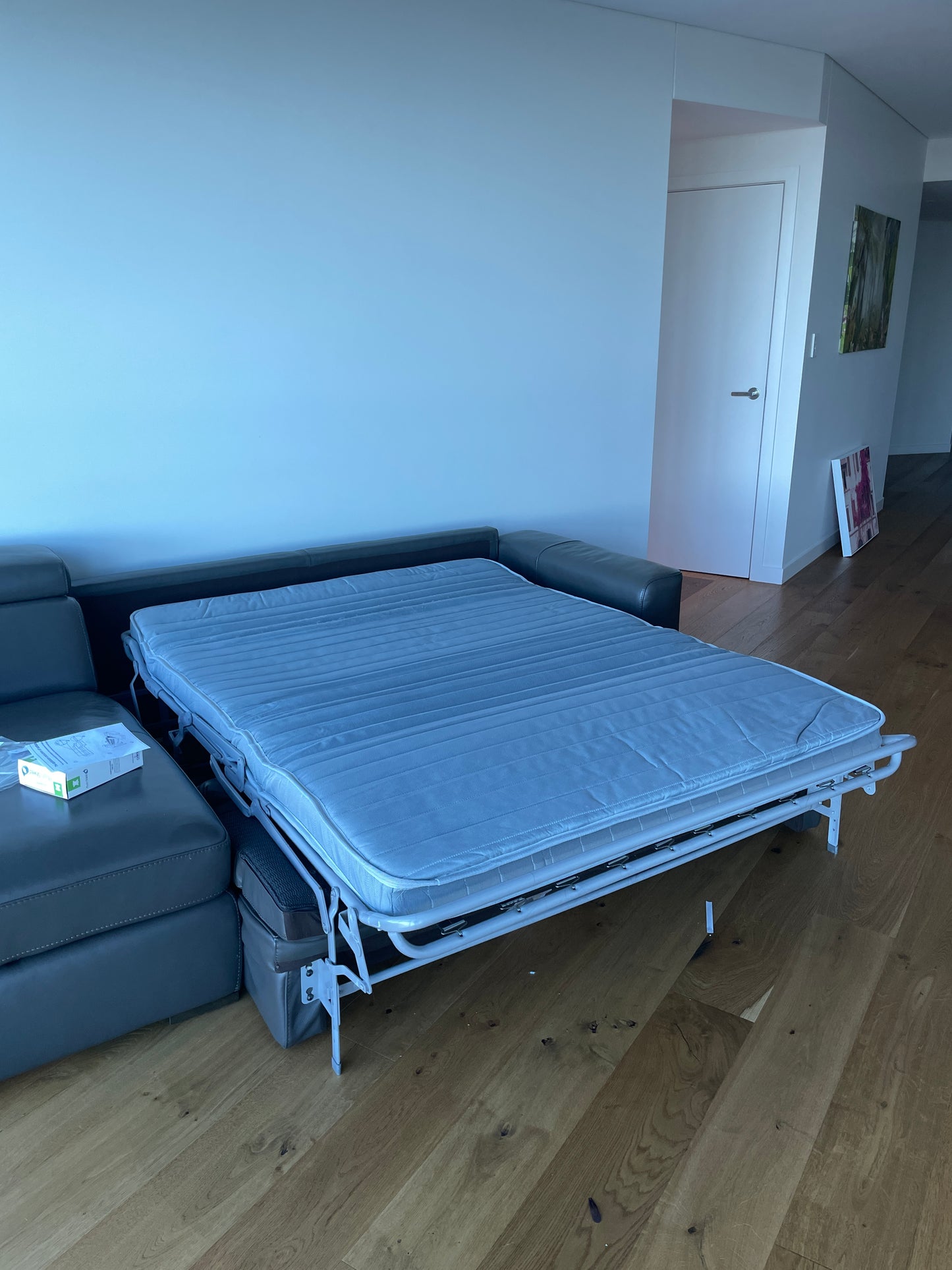 Plush Graphite Leather Lounge w/ pullout Queen Bed