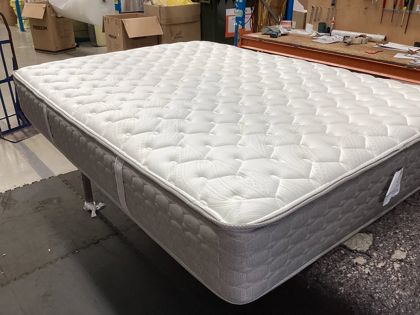 Freedom Sealy Cygnus Firm Mattress Queen