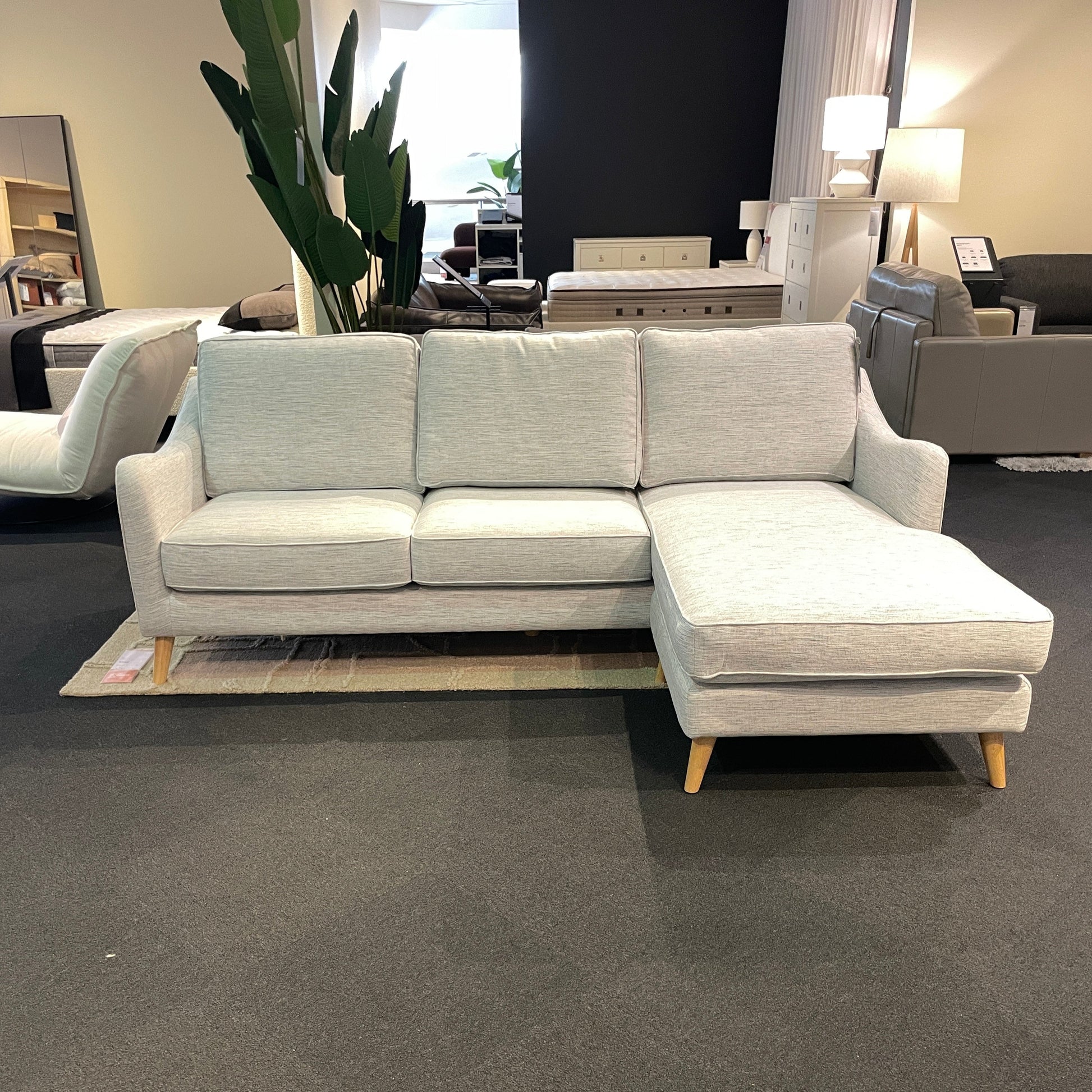 Gray sectional sofa against a dark gray wall with a plant and mirror in the foreground.