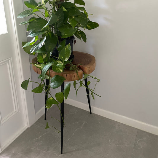 Early Settler Side Table